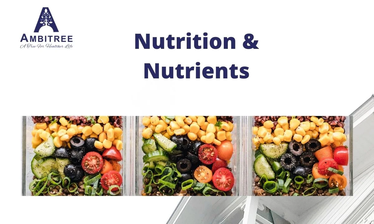 Nutrition & Nutrients